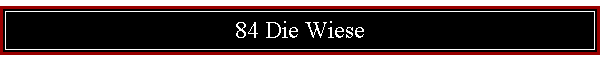 84 Die Wiese