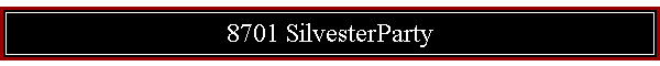 8701 SilvesterParty