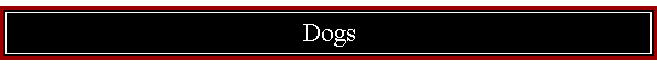 Dogs