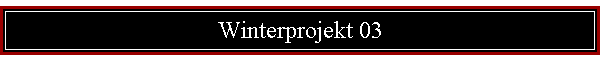 Winterprojekt 03